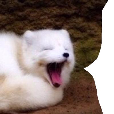 ゆっき
