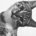 Grace Gatto - @Gatto_Grace - Twitter