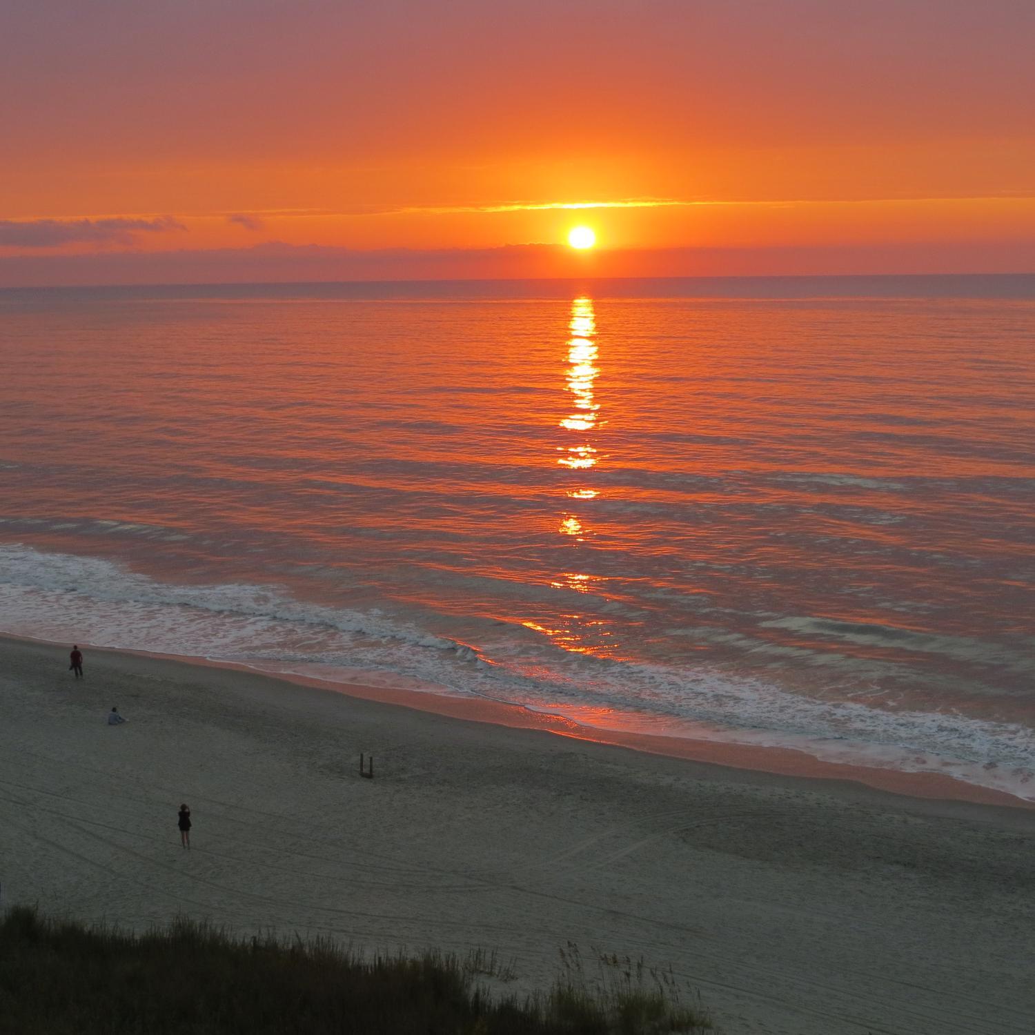 MarkAllenNC's profile picture. 