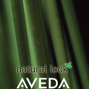 Experience our luxury Aveda Hair & Beauty salon in the heart of Beaminster where we provide simply the very best in hairdressing & top to toe beauty treatments.