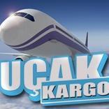 Yurtdışı Uçak Kargo Sitesi