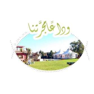 #المجرّة قصة نسجها سكانها. وفي يوم الجمعة ١١ من ربيع أول عام ١٤٣٦هـ، توقفوا عن كتابة القصة التي عشقناها واستمتعنا بها سبعون يومًا، وبدأوا بتطبيق القصة فعليًا❤️.