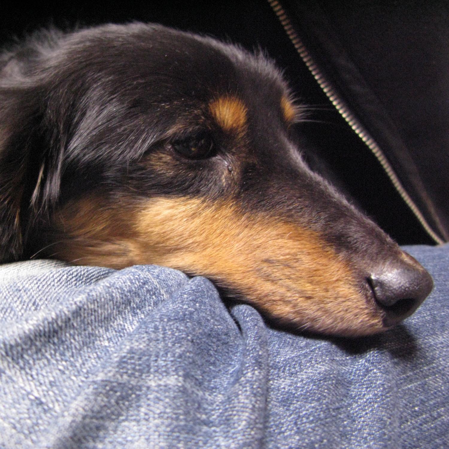 manabu_gakugaku's profile picture. 