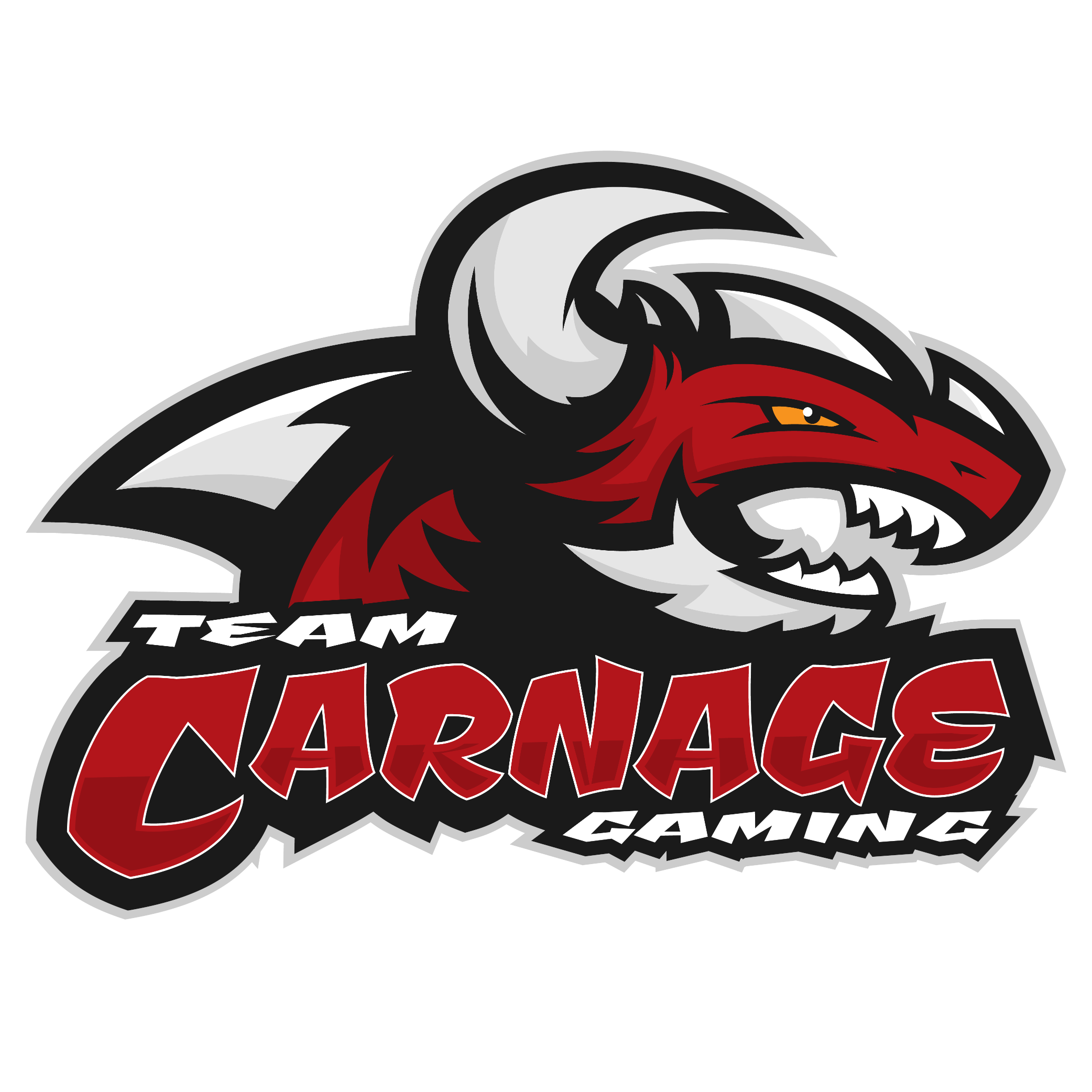 Official Retweet account for Team Carnage Gaming, LLC. (@TeamCarnageLLC) @ us anything gaming related!