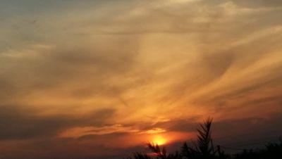 khookha__'s profile picture. 