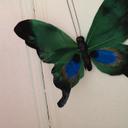 Pat Smiley - @365tweets2015 - Twitter