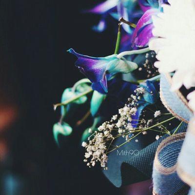 111nadooo's profile picture. ماهو ضروري اقنع العالم بشي جازلي ...♯