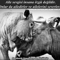 veganizm özgürlüktür (@veganozgurluk) Twitter profile photo