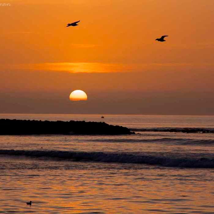 BattlePhoto_'s profile picture. 