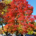 Judy Nolan - @jupymom1021 - Twitter