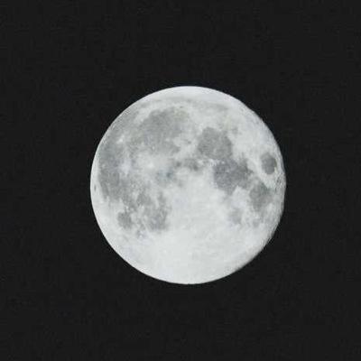 moibredni's profile picture. 