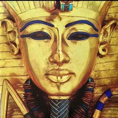 finalsolution00's profile picture. 