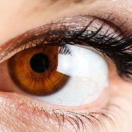 kamrani824's profile picture. 