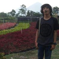 Ahsin Maulana (@ombolank) 's Twitter Profile Photo Ahsin Maulana (@ombolank) 's Twitter Profile Photo