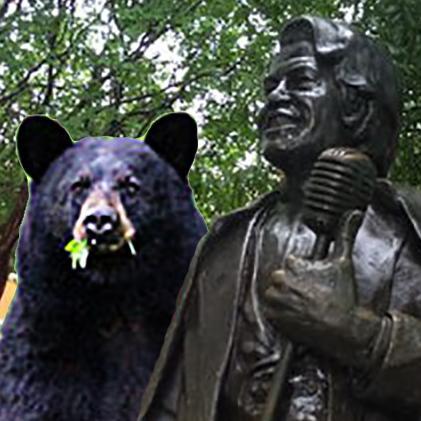 Ursus Americanus, just looking for love in all the wrong trashcans.