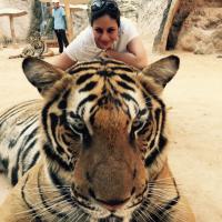 Ambika Sharma (@ambikasharma) 's Twitter Profile