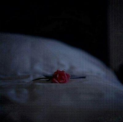 ‏نصيحة ل آصحآب الصفحآت :لا تقل كم سأجمع .. ولكن قل كم سأنفع !! ♥  ‏