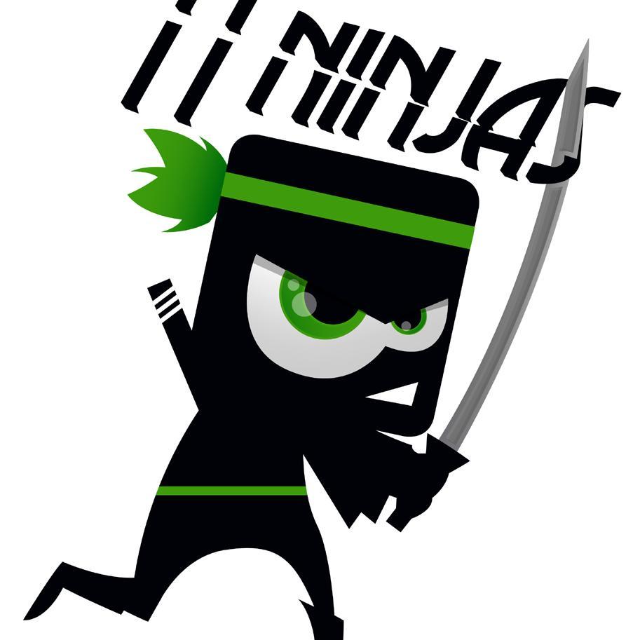 ITNinjasZA's profile picture. Making 'IT' happen...