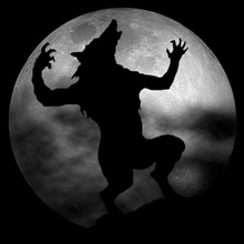 Mi nombre es Lobo, soluciono problemas.