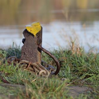 Elbe312x365's profile picture. 