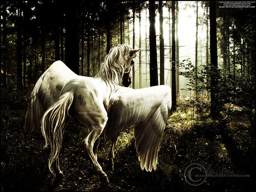 loudIntrovert's profile picture. 