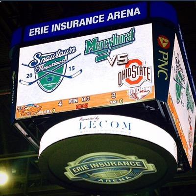 The Official Twitter Account for The 3rd Annual @HurstMensHockey #SnowtownThrowdown Showcase 2017 vs Ferris State #NCAAHOCKEY