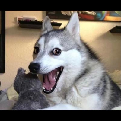 Ord410's profile picture. 