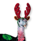 I'm a Turkey on Christmas Farm. If I have lots of followers by Xmas, I won't be eaten!