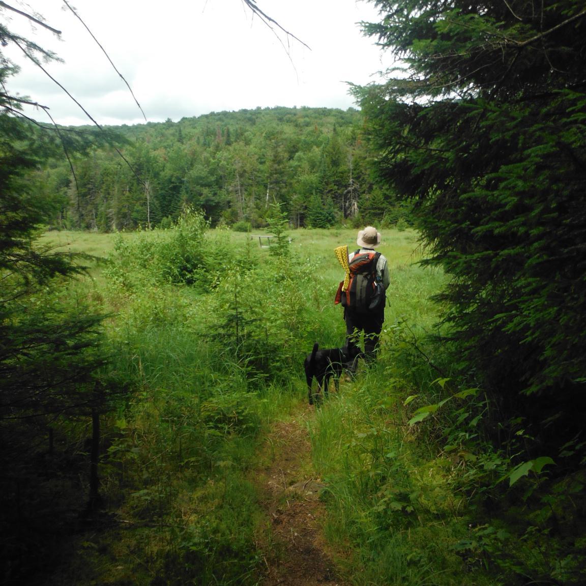 Host/Producer of Yarrow Tarot Radio. I love the outdoors, gardening, and playing guitar.
