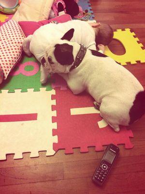 siempre con PyP , #Oli y #Balta