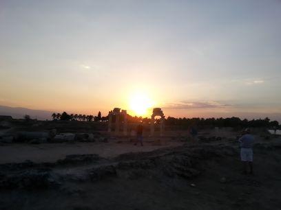 sacchi5905's profile picture. 