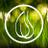 leafprojectt's profile image