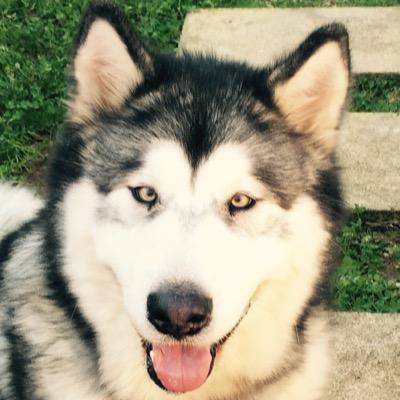 josemanuelmat18's profile picture. 