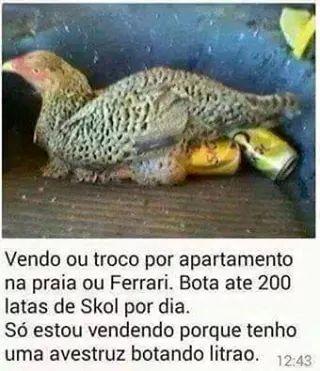 Amigo do meu amigo,Amizade acima de tudo...Adc-me e terás um fiel companheiro...
