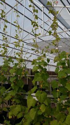 DocDangerman's profile picture. 