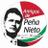 Amigos de Peña Nieto