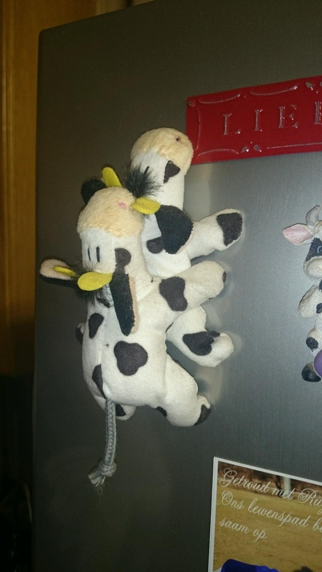 KrielLouis's profile picture. Obey