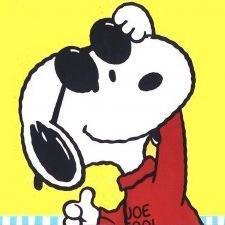 Philly girl. Sports, wine, beer and cheesesteaks. I make a mean Bloody Mary. 🏀⚾️🏉🍷🍺 Snoopy is my dawg.