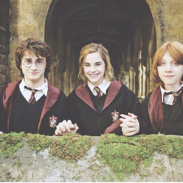 Lectora. Harry Potter. Ruben Doblas Gundersen. Youtubers. JK Rowllingϟ. John Green. Steven Chbosky. Blue Jeans.
