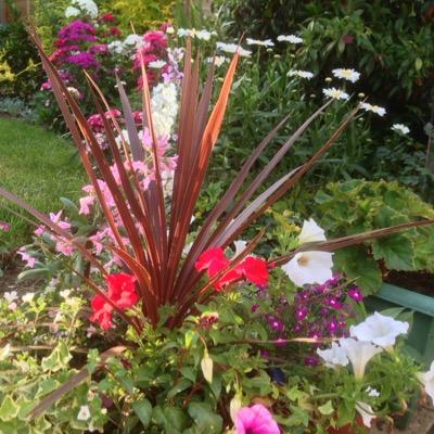 Enjoy gardening, the countryside and politics.