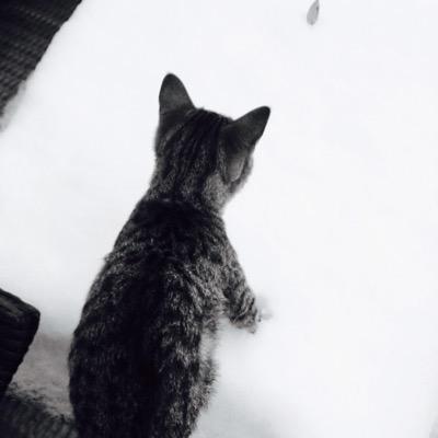 littlemandsgns's profile picture. Architect, designer and aspiring creator in paper, plus avid cricket follower and keen cyclist