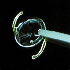 Asst. Prof. at Santa Clara University. Research on microfluidic integration for telemedicine. Ph.D. in Optical Sciences. Post-doc at Stanford Univ. and HHMI.