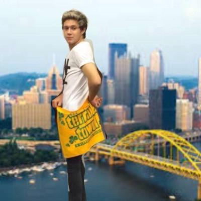 hopelessly in love with 1D and 5SOS❤️ 7/23/10 8:22 ❤️ OTRAPittsburgh 8/2/15 |ROWYSOPittsburgh 8/23/15 | SLFL Hershey 7/22/16 | Till The End❤️