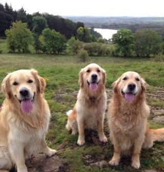 love my family, the outdoors - especially with my dogs, sports fan, proud Scot who likes being British. And forever a Blades fan