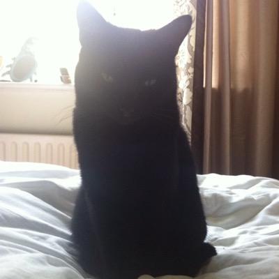 A true black beauty & the greatest little pal anyone could ever want! #wlf Only a memory now