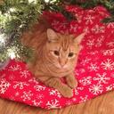 Claudia McDowell - @cannmcd2 - Twitter