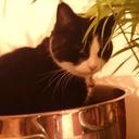 Fiona Neilson - @RAIN97BOWFI - Twitter