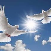 cannotstop_hope's profile picture. 