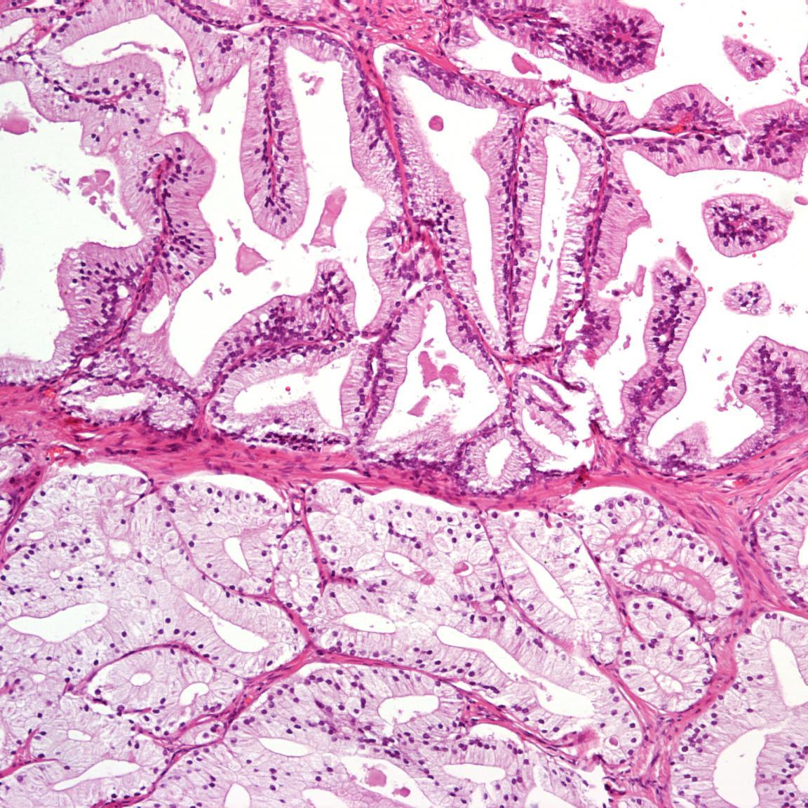 AristaNasr's profile picture. 