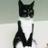 lilpurrball's profile image